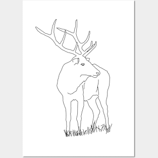 Deer line art Posters and Art